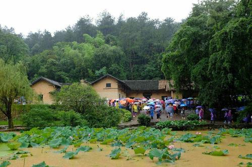 点击查看源网页