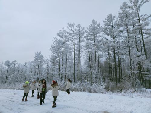 点击查看源网页