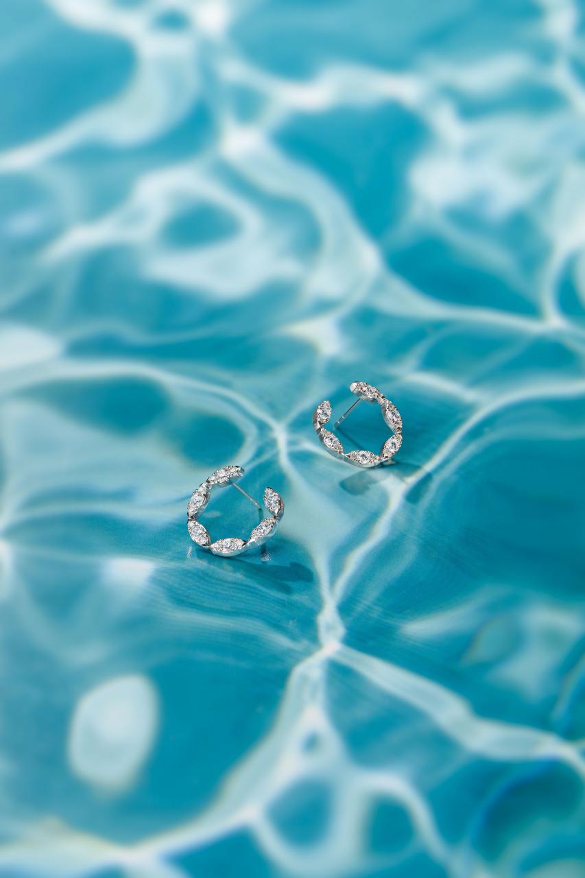 与大自然共舞 Hearts On Fire 为其标志性的 Aerial 系列注入新设计